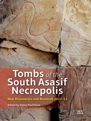 cover image of Tombs of the South Asasif Necropolis
